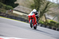 Oulton-Park-21st-March-2020;PJ-Motorsport-Photography-2020;anglesey;brands-hatch;cadwell-park;croft;donington-park;enduro-digital-images;event-digital-images;eventdigitalimages;mallory;no-limits;oulton-park;peter-wileman-photography;racing-digital-images;silverstone;snetterton;trackday-digital-images;trackday-photos;vmcc-banbury-run;welsh-2-day-enduro